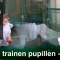 banner playlist Judo Yushi TV thuis trainen pupillen tot 12 jaar
