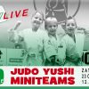 Judo Yushi Miniteams